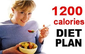 1200 calorie diet