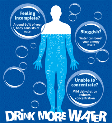 how much water should I drink to lose weight